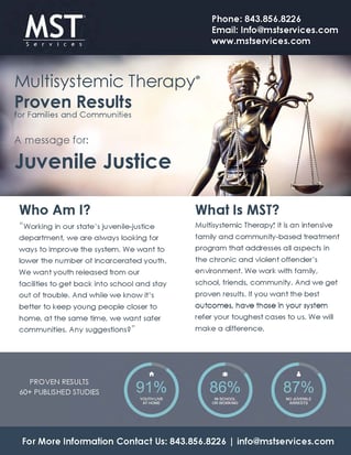 Juvenile Delinquency Prevention Stakeholders | MST Services